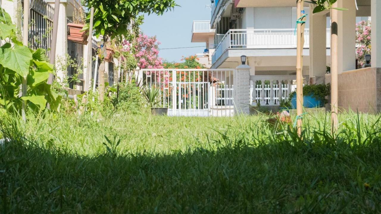Niki Apartments 帕拉利亚狄奥尼索 外观 照片