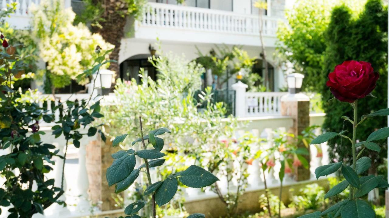 Niki Apartments 帕拉利亚狄奥尼索 外观 照片