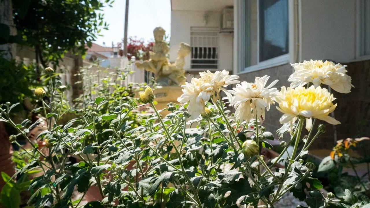 Niki Apartments 帕拉利亚狄奥尼索 外观 照片